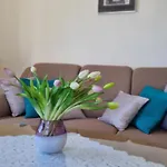 Primavera Apartman *